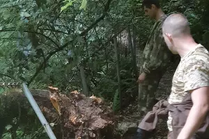  &copy;&nbsp;Фото пресс-службы Кавказского биосферного заповедника