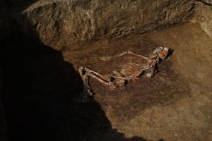  © Фото пресс-службы «Автодор»