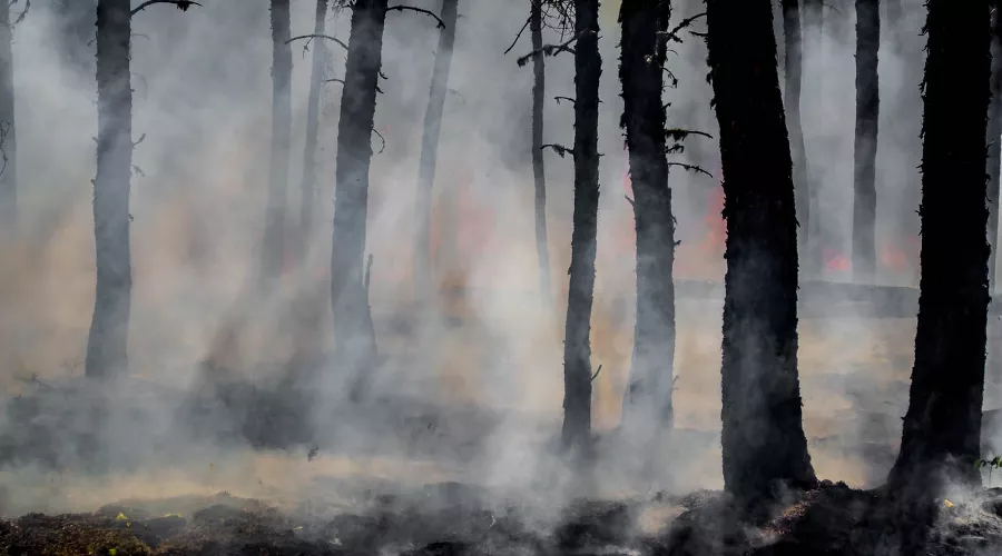  &copy;&nbsp;Фото Joanne Francis, unsplash.com