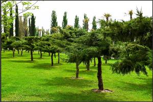  &copy;&nbsp;Скриншот из телеграмм-канала парка &laquo;Краснодар&raquo; https://t.me/parkkrd/2046