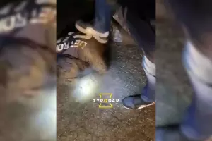  &copy;&nbsp;Скриншот видео из телеграм-канала &laquo;Туподар&raquo;, t.me/typodar
