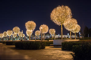 Парк «Краснодар» &copy;&nbsp;Фото Елены Синеок, Юга.ру