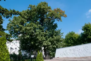  &copy;&nbsp;Фото Дмитрия Пославского, Юга.ру