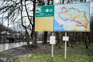 Экологическая акция "Билайна" в Кавказском биосферном заповеднике &copy;&nbsp;Нина Зотина, ЮГА.ру