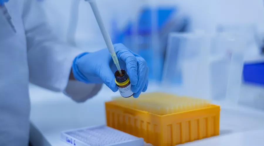  &copy;&nbsp;Фото fernando zhiminaicela, pixabay.com