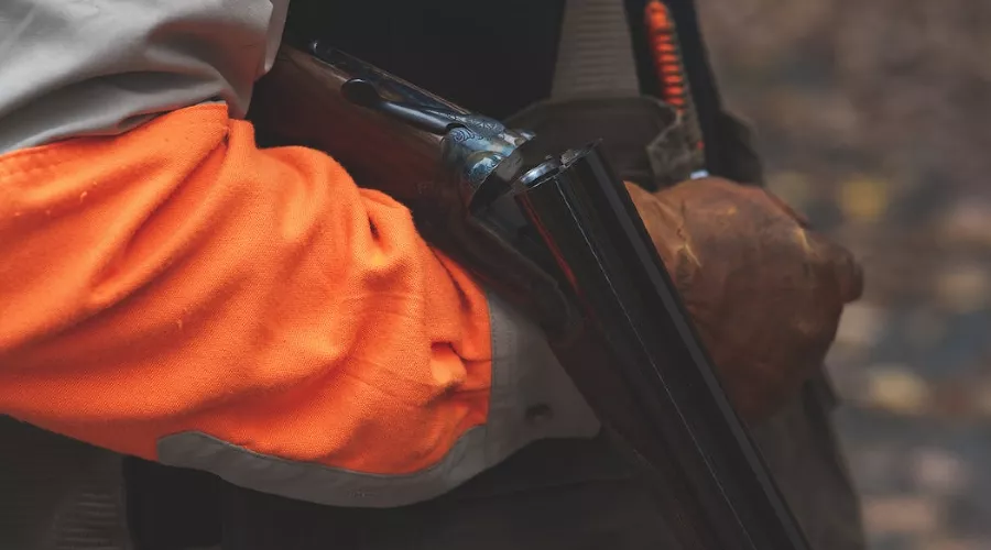  &copy;&nbsp;Фото Hunter Brumels, unsplash.com