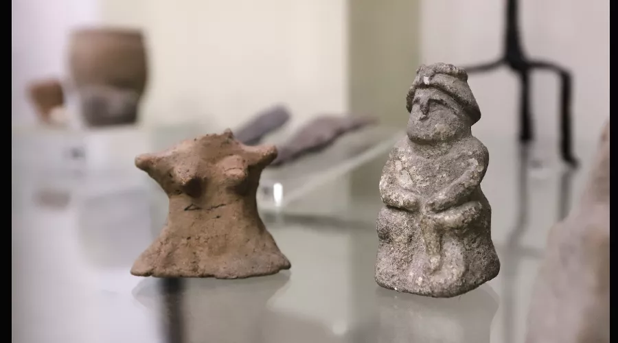  &copy;&nbsp;Скриншот фото из письма Краснодарского музея имени Фелицына