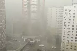  &copy;&nbsp;Скриншот видео из ВК-сообщества &laquo;Наша Газета Новороссийск&raquo;