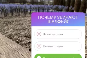  &copy;&nbsp;Скриншот со страницы instagram.com/officialparkkrasnodar