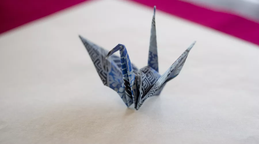  &copy;&nbsp;Фото пользователя freepik с сайта freepik.com