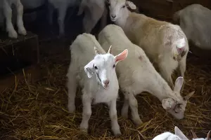 Проект &laquo;Верь в себя&raquo; по профориентации подростков &copy;&nbsp;Фото Елены Синеок, Юга.ру