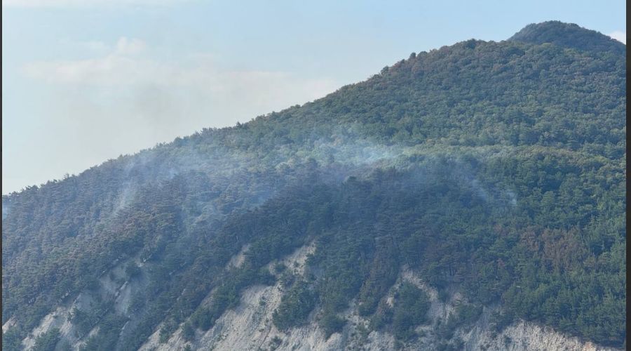  &copy;&nbsp;Скриншот из телеграм-канала мэра Геленджика Алексея Богодистова https://t.me/BogodistovAA/7332