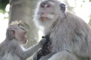  &copy;&nbsp;Фото с сайта pixabay.com