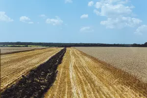  &copy;&nbsp;Фото Амины Ибрагимовой, Юга.ру