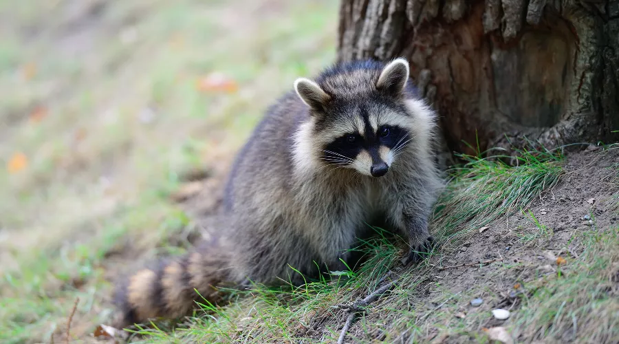  &copy;&nbsp;Фото пользователя TravelScape с сайта freepik.com