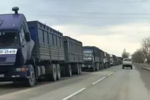 На трассе в Темрюкском районе скопилось более 400 грузовиков из-за остановки зернового терминала &copy;&nbsp;Фото пресс-службы администрации Темрюкского района