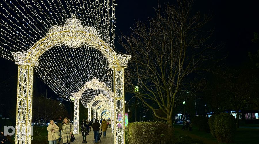  &copy;&nbsp;Фото Марии Журавлевой, Юга.ру