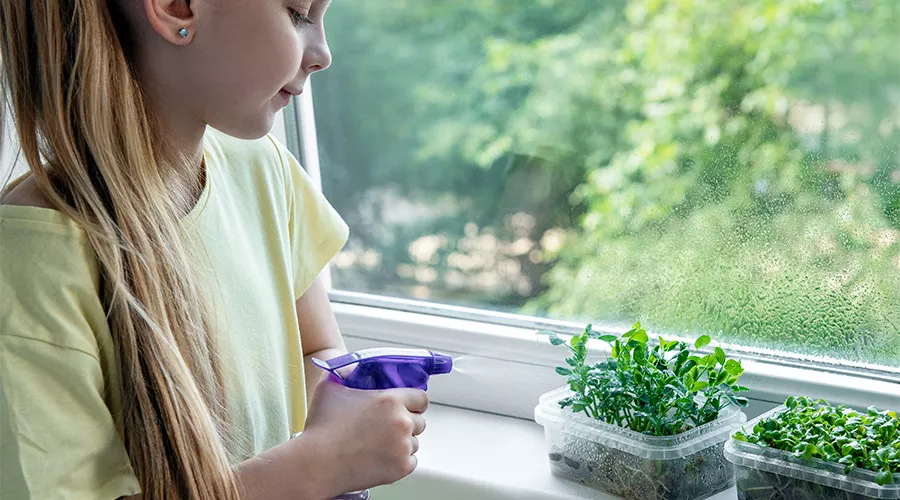  &copy;&nbsp;Фото Елены Рудо, freepik.com