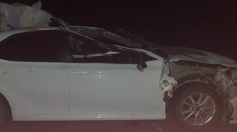  &copy;&nbsp;Фото пресс-службы ГУ МВД России по Республике Адыгее