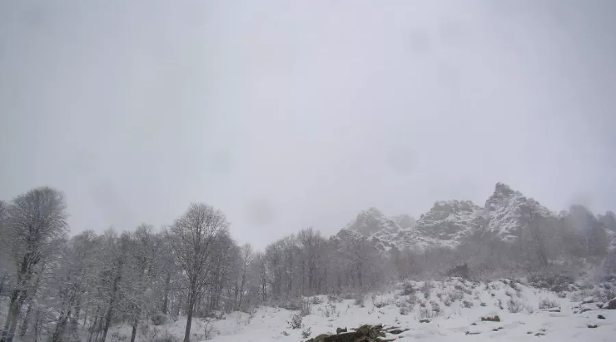  &copy;&nbsp;Фото пресс-службы ЮРПСО