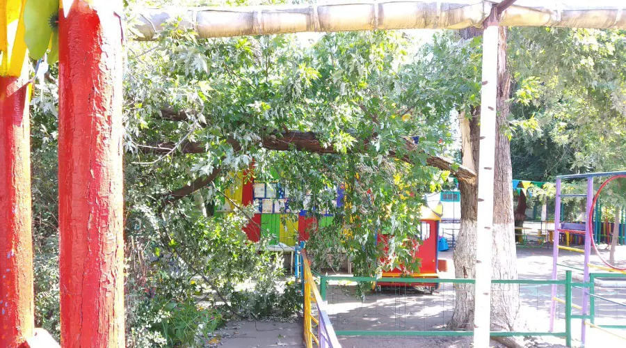  &copy;&nbsp;Фото пресс-службы администрации Краснодара