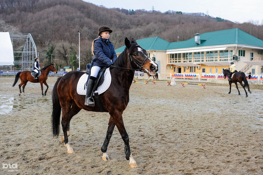 Конноспортивная школа. Конная спортивная школа 15 сочи. Кск элит сочи. Дагомыс светлана конный спорт. Дисциплины конного спорта.