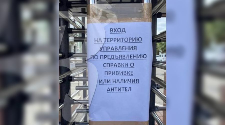  &copy;&nbsp;Фото из телегам-канала Readovka, t.me/readovkanews