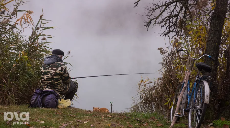  &copy;&nbsp;Фото Елены Синеок, Юга.ру