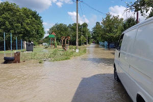  © Фото Эмира Кубединова