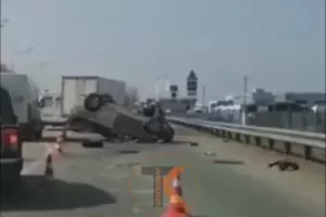  &copy;&nbsp;Скриншот видео из телеграм-канала &laquo;Телетайп Краснодара&raquo;, tmtr.me/tipichkras