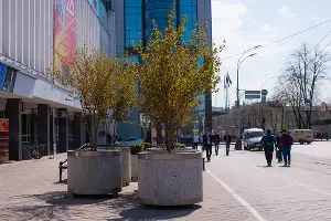  &copy;&nbsp;Фото Елены Синеок, Юга.ру