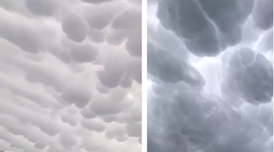  &copy;&nbsp;Коллаж из скриншотов фото из телеграм-канала &laquo;Абрау-Дюрсо в фотографии&raquo;