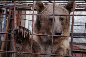  © Фото пресс-службы администрации Краснодара