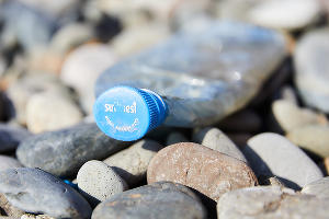  © Фото Славы Замыслова, Гринпис