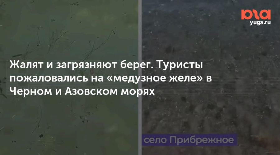 Жалят и загрязняют берег. Туристы пожаловались на «медузное желе» в Черном и Азовском морях