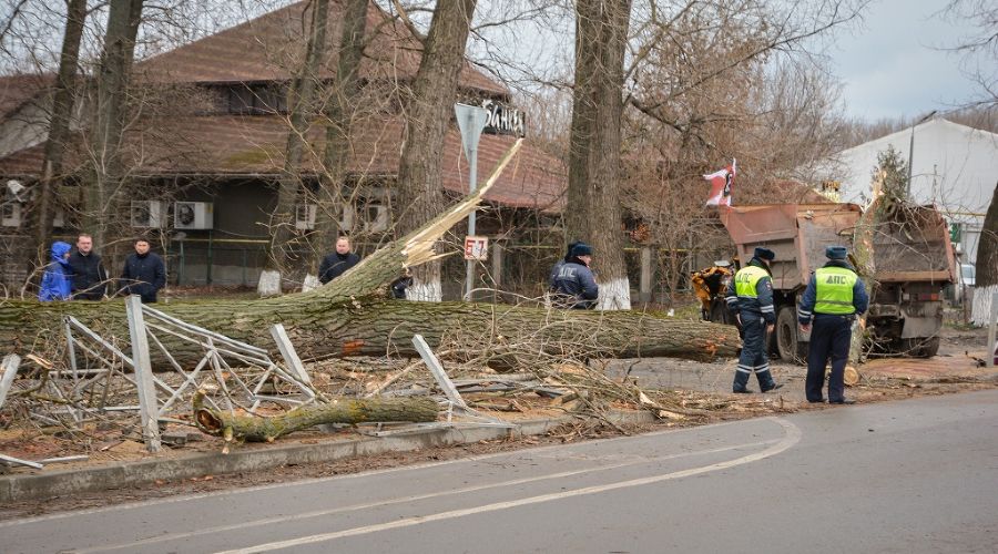  © фото пресс-службы администрации Ростова-на-Дону