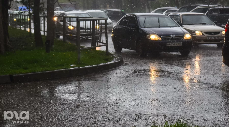  &copy;&nbsp;Фото Елены Синеок, Юга.ру