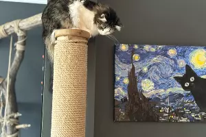  &copy;&nbsp;Фото Марии Журавлевой, Юга.ру