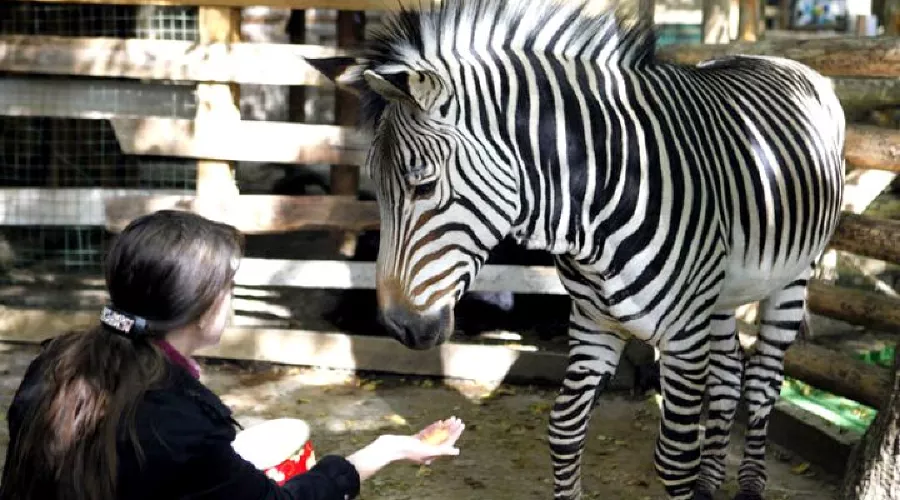  &copy;&nbsp;фото с сайта news.1777.ru