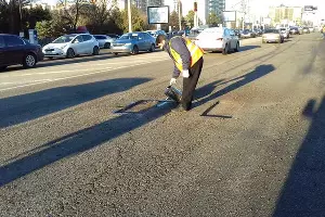  &copy;&nbsp;Фото пресс-службы администрации Краснодара