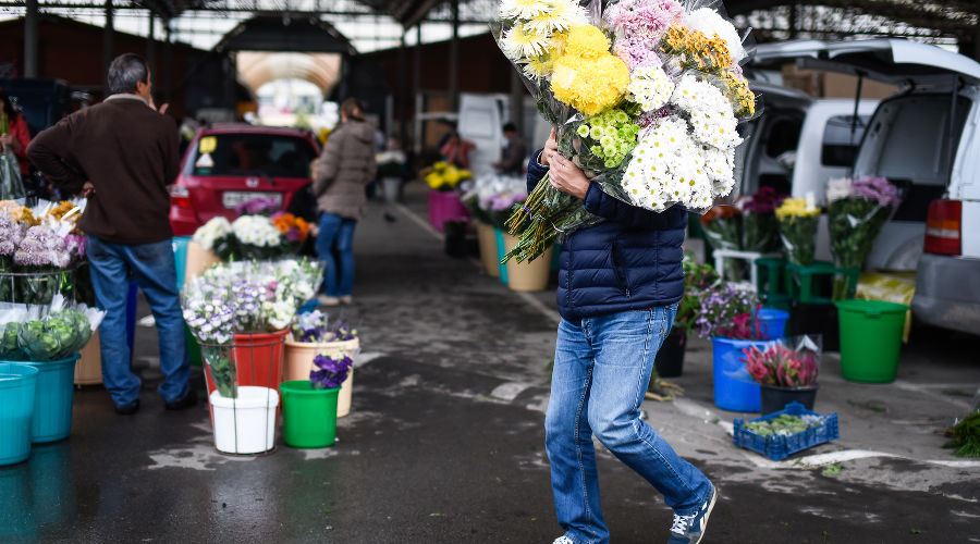  © Фото Елены Синеок, Юга.ру