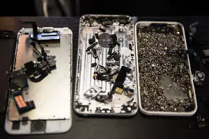  &copy;&nbsp;Фото Елены Синеок, Юга.ру