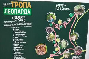 Маршрут «Тропа леопарда» © Фото Юга.ру