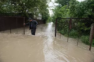  &copy;&nbsp;Фото Антона Подгайко, Юга.ру