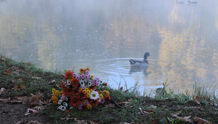 В Краснодарском крае в&nbsp;ближайшие дни ощутимо похолодает