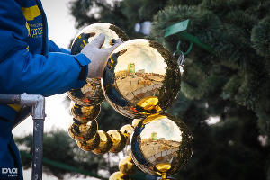 Установка главной елки Краснодара на Театральной площади © Фото Елены Синеок, Юга.ру