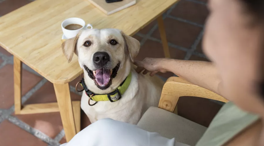  &copy;&nbsp;Фото пользователя freepik с сайта freepik.com