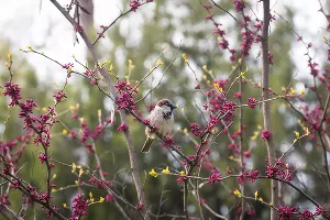  &copy;&nbsp;Фото Елены Синеок, Юга.ру