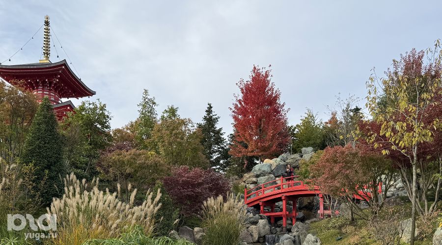  &copy;&nbsp;Фото Марины Солошко, Юга.ру