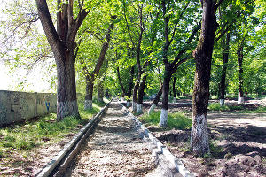 Начало реконструкции парка им. Семыкина © Фото пресс-службы Тбилисского района